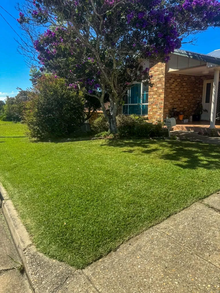 Front lawn beside a brick home and flowering tree